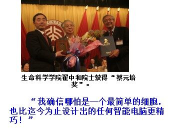 课件：《细胞膜——系统的边界》  云霄一中  方丽娜