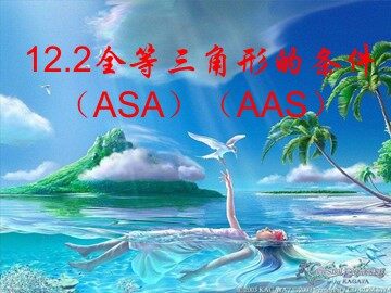 信息技术应用   探究三角形全等的条件