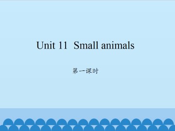 Unit 11  Small animals 第三课时_课件1