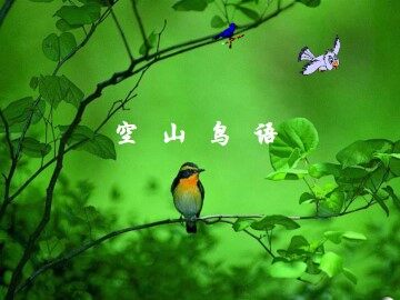 空山鸟语  郭枫_课件1