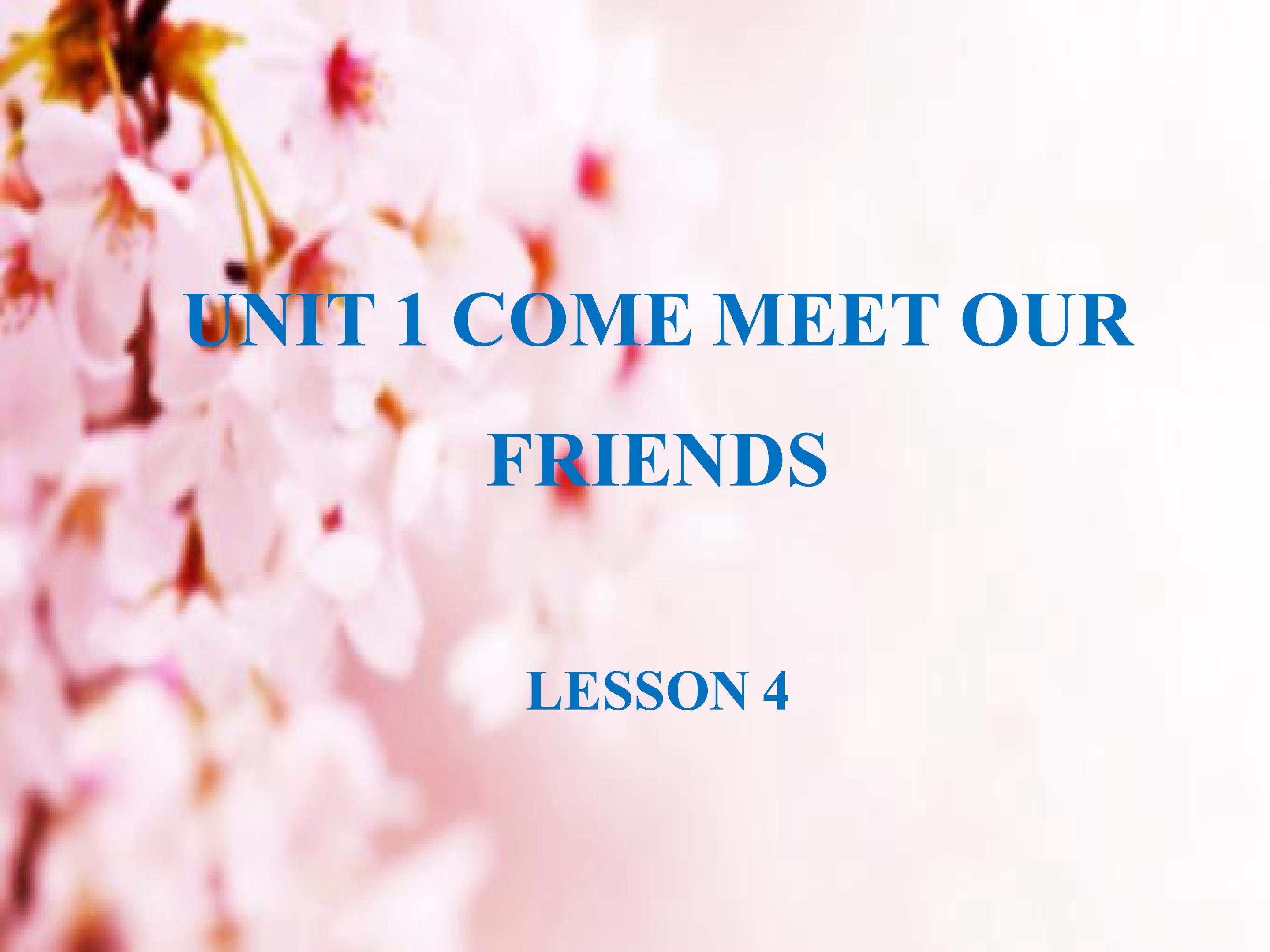 UNIT 1 COME MEET OUR FRIENDS  LESSON 4