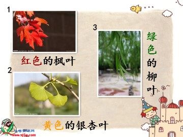 19 蓝色的树叶 