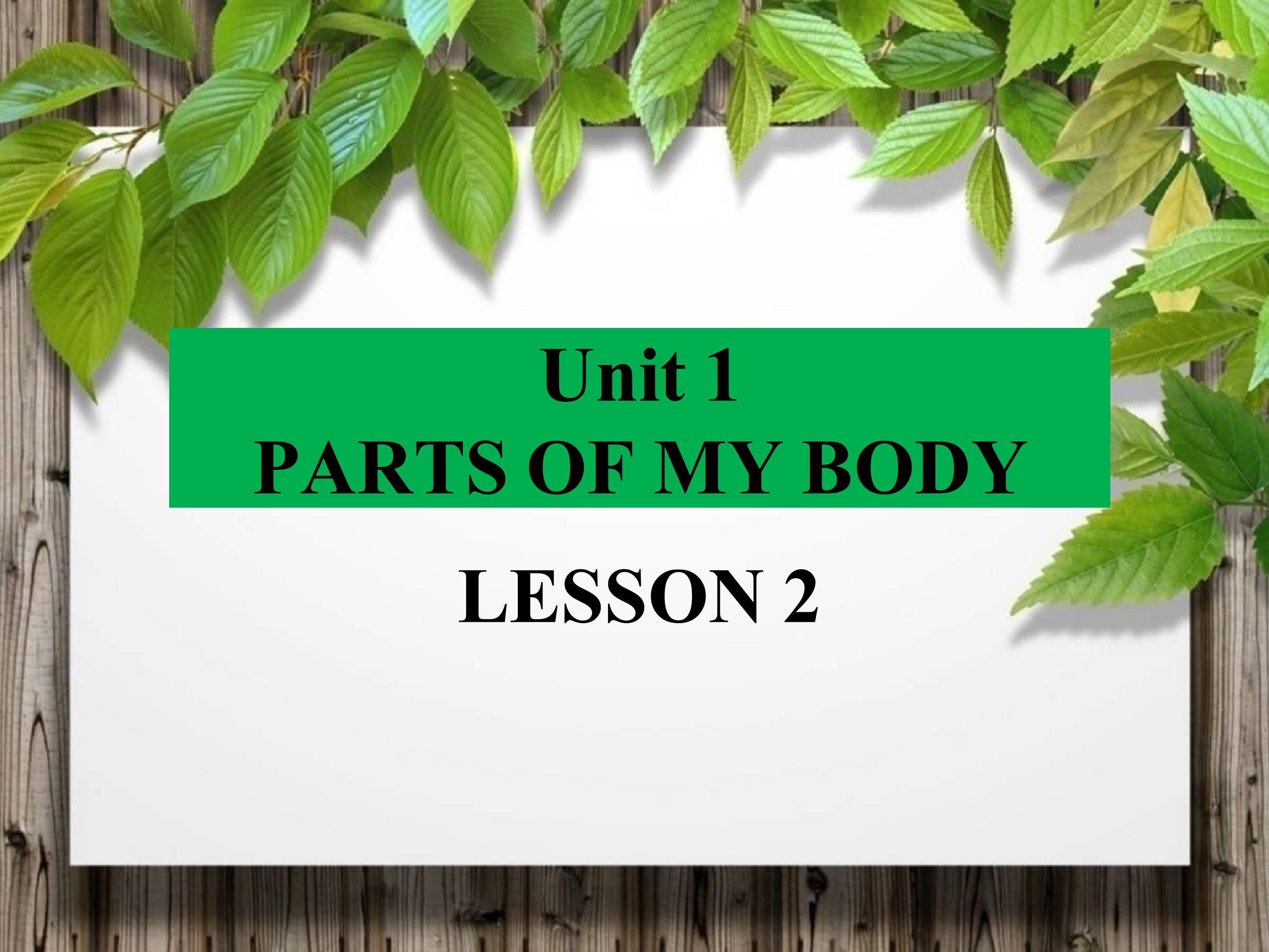 Unit 1 PARTS OF MY BODY LESSON 2 课件