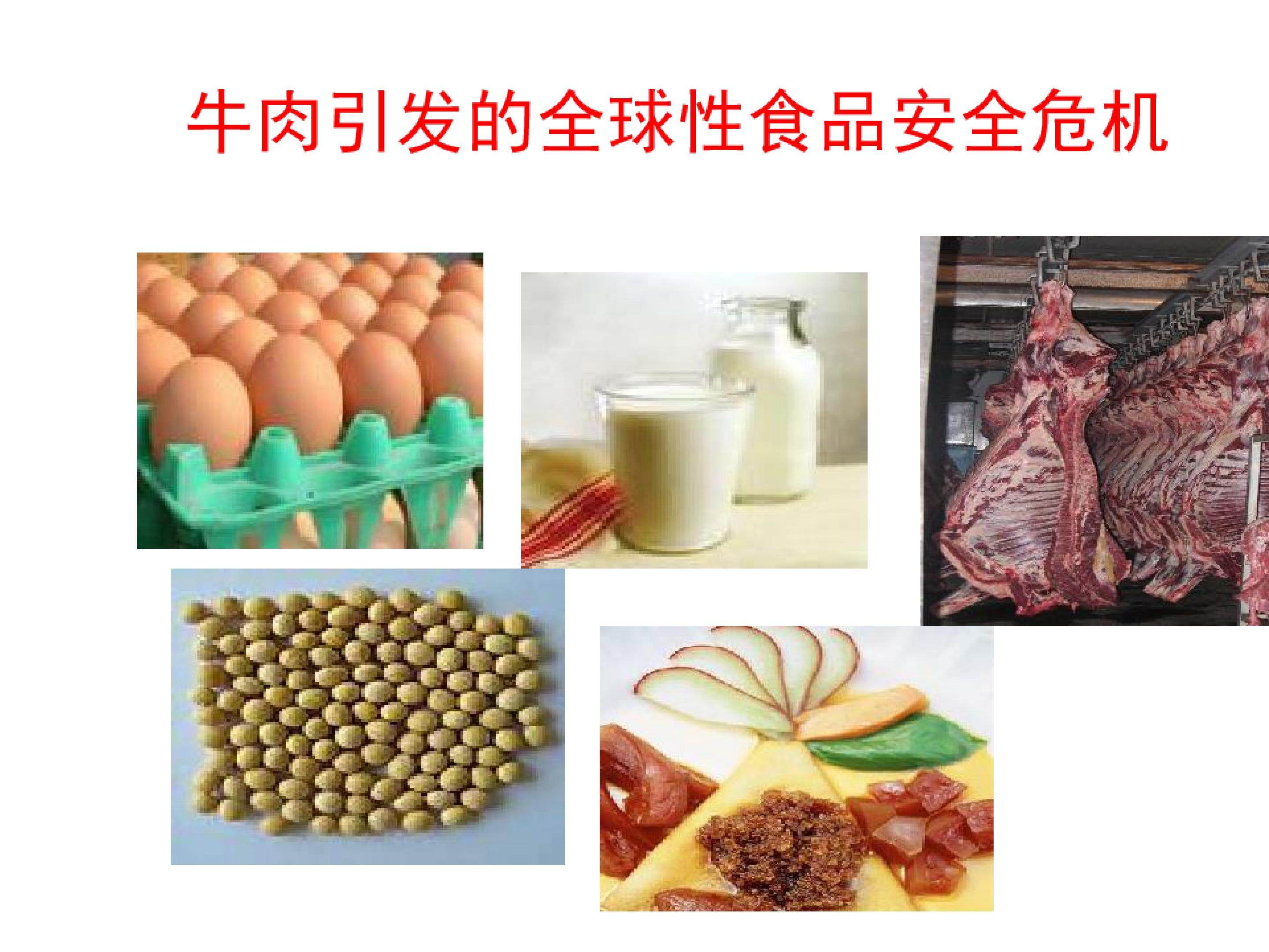 疯牛病与朊粒