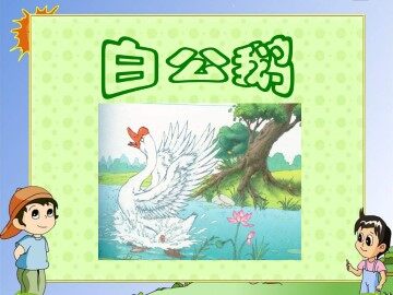 白公鹅_课件3