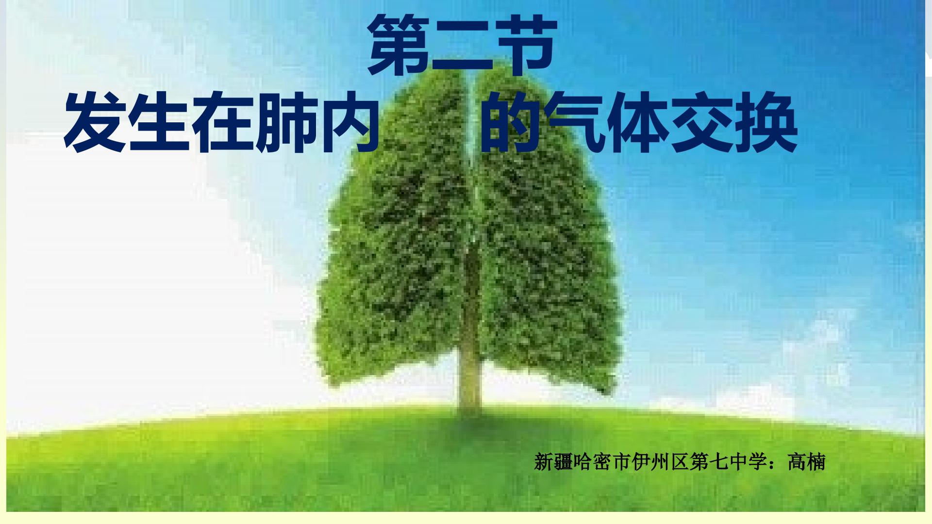 发生在肺内的气体交换