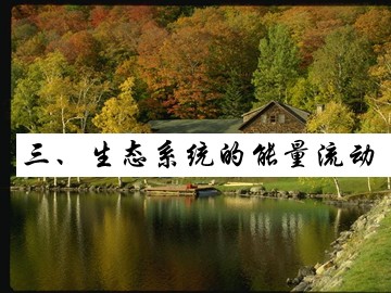 生物高中必修3第五章第二节课件6