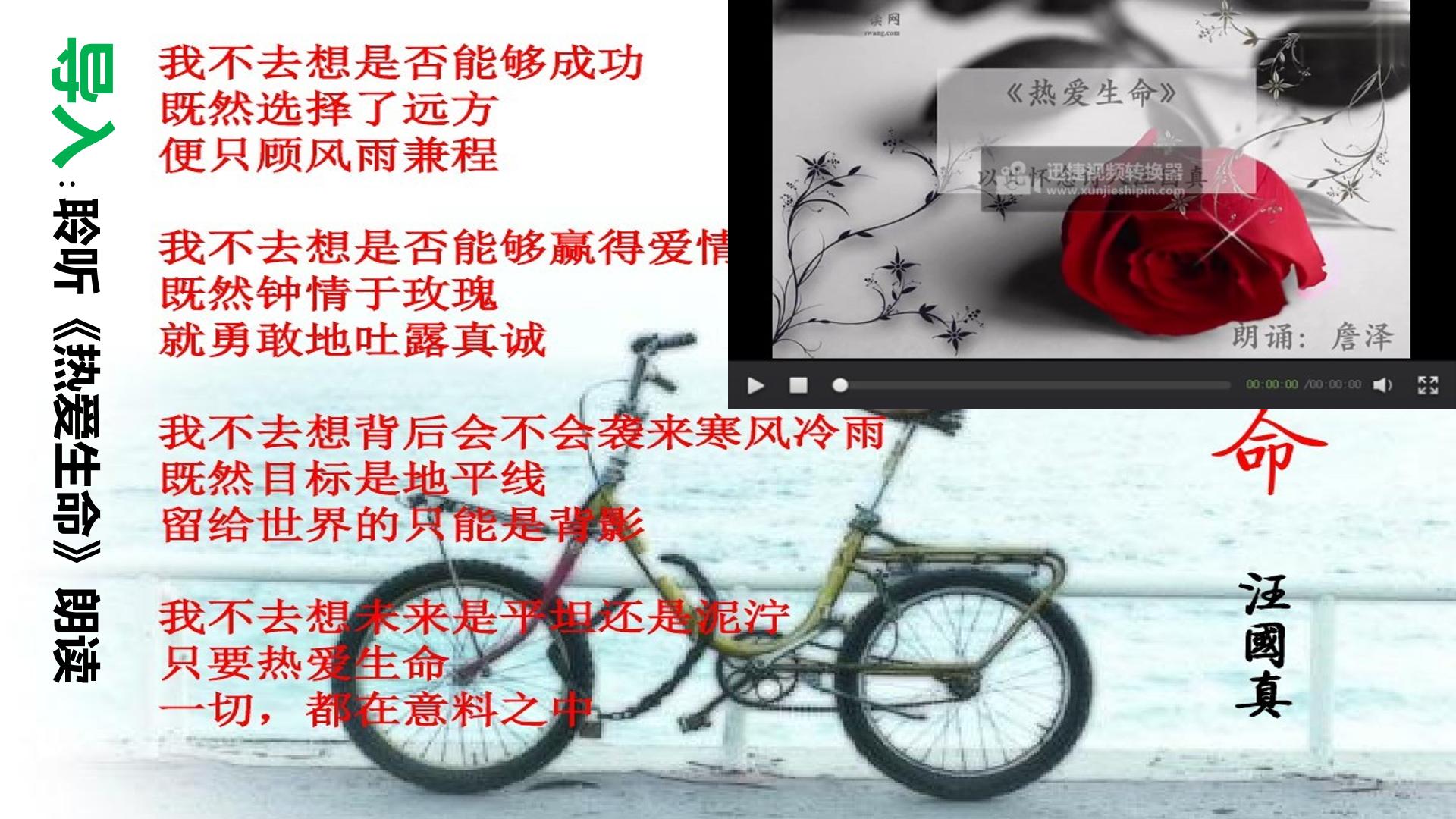 善待生命  学习论证