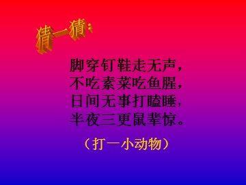 15 猫