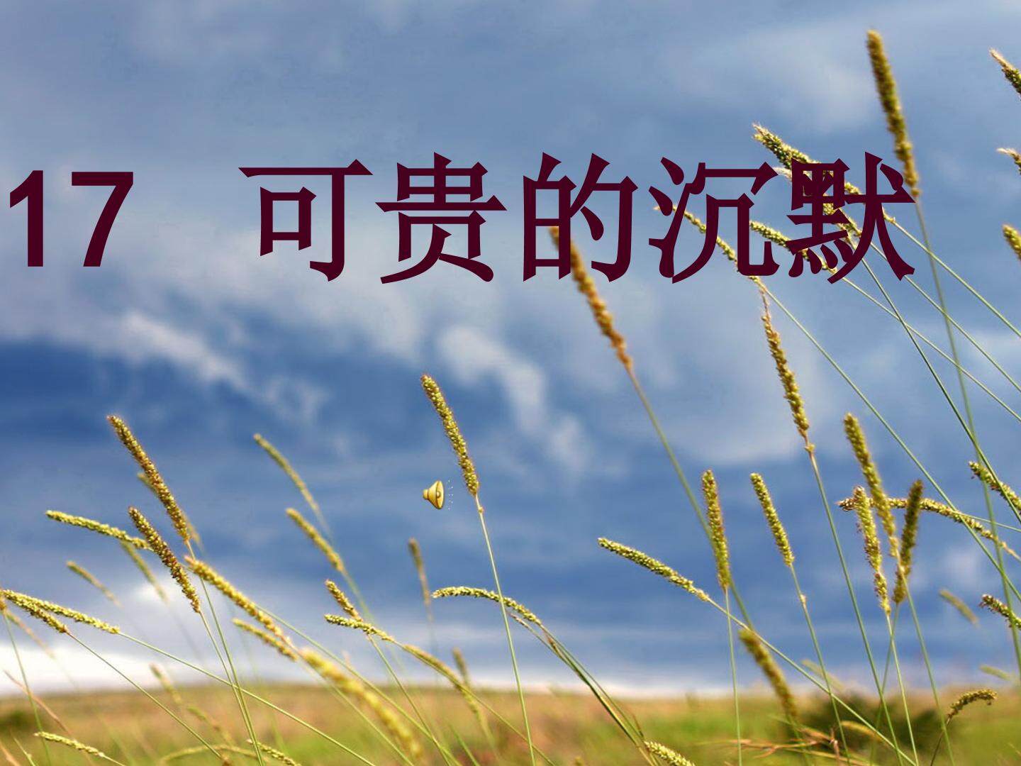 17、可贵的沉默