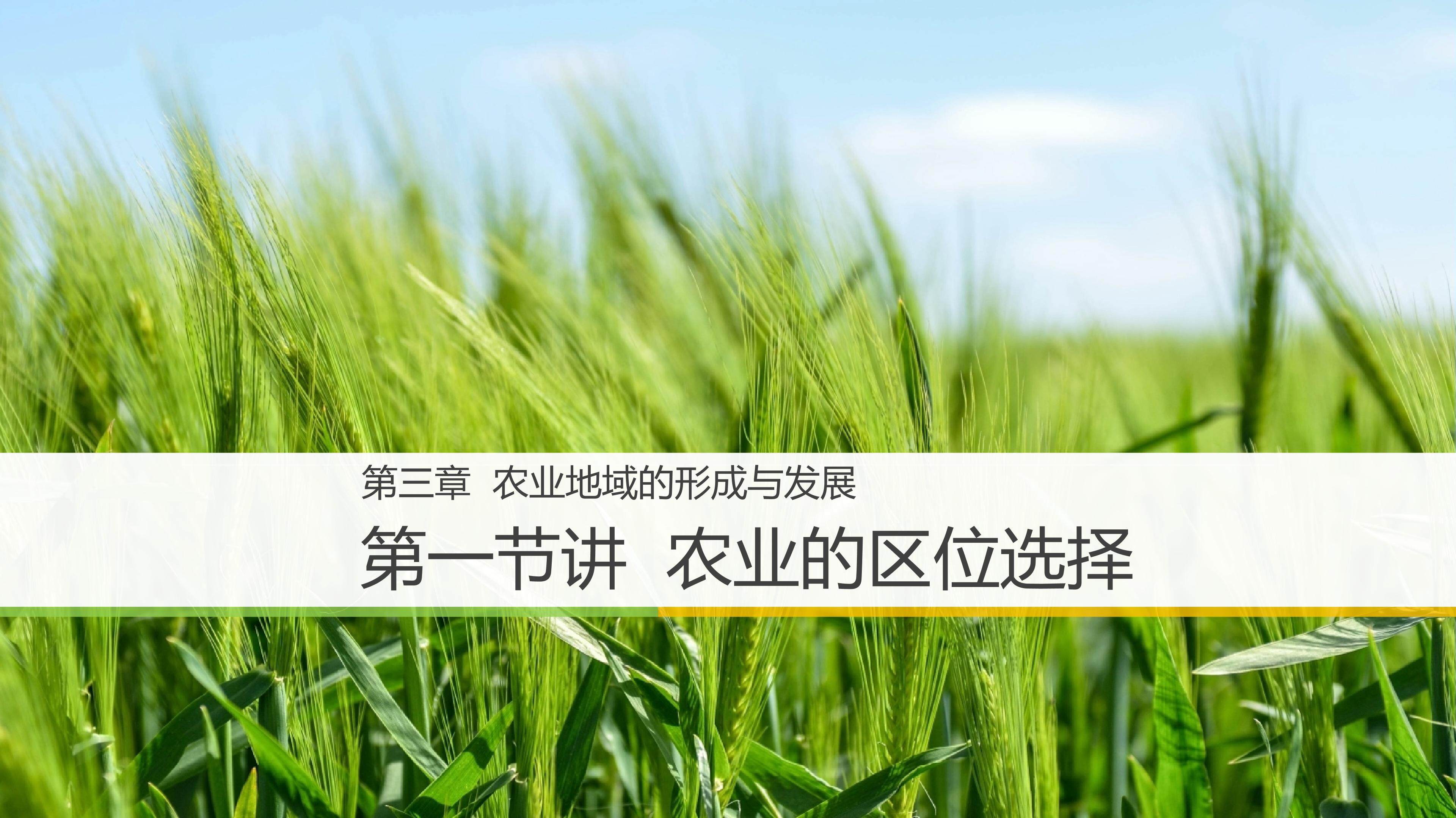第5讲  农业的区位选择