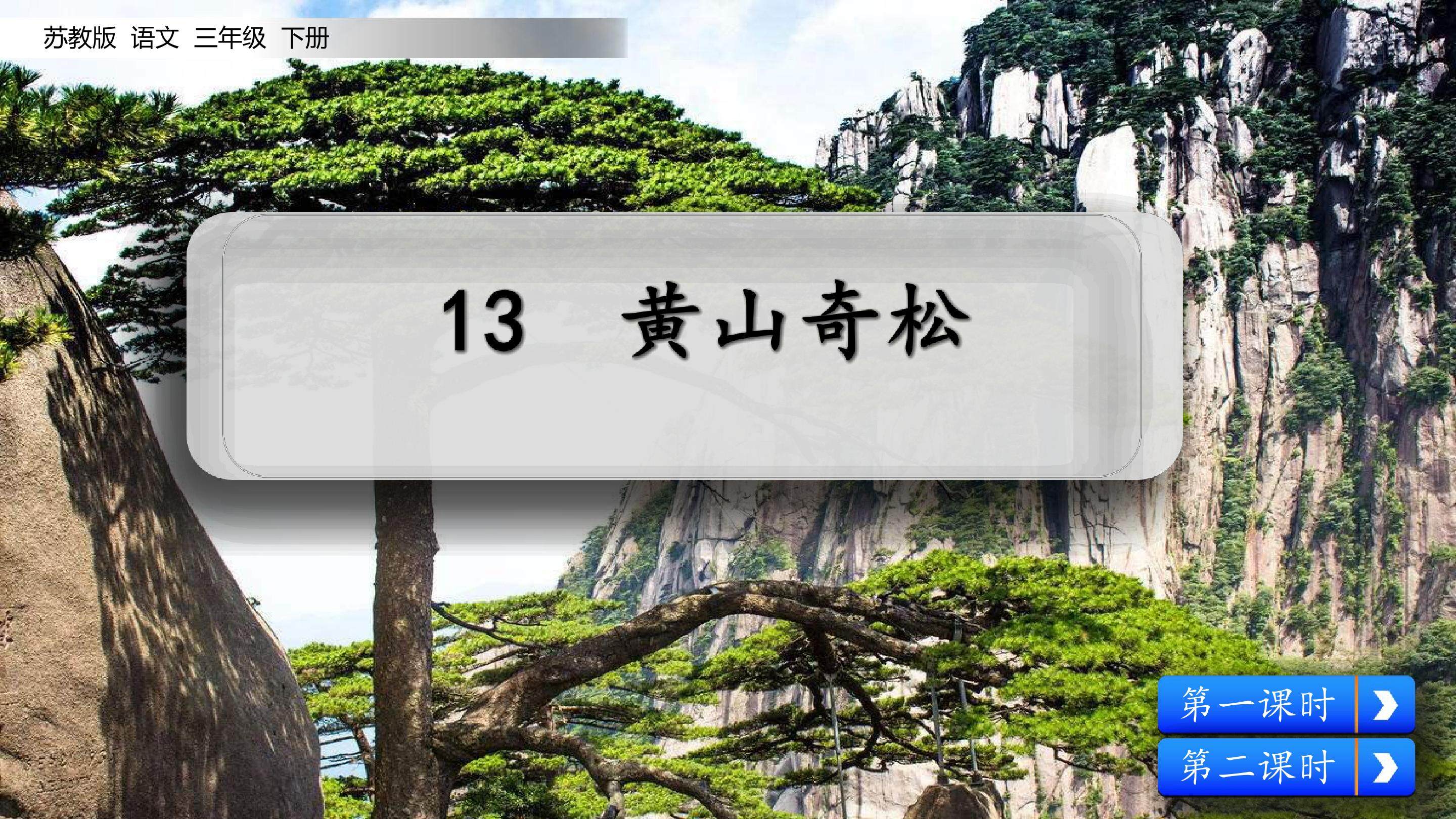 黄山奇松
