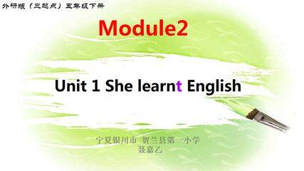 She learnt English课件