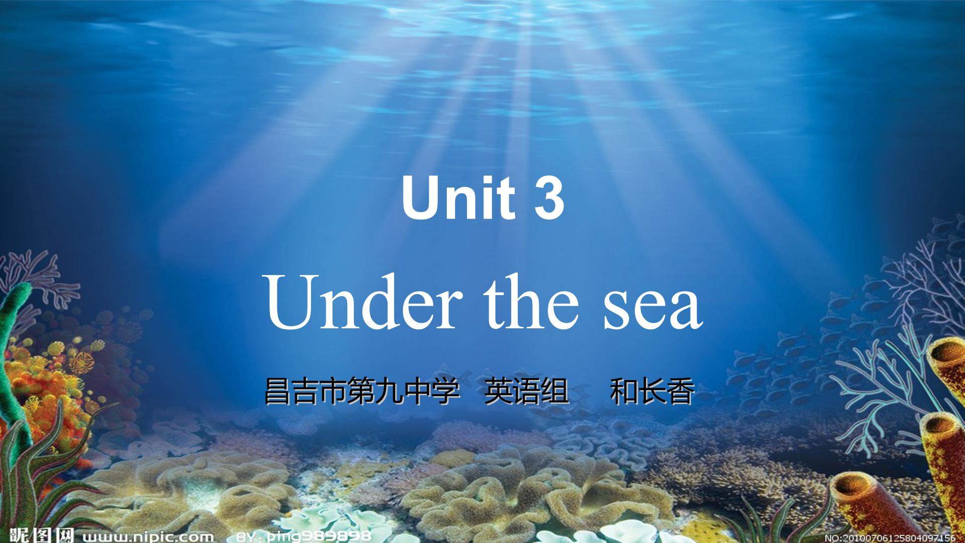 选修七 unit 3 Under the sea 教学设计