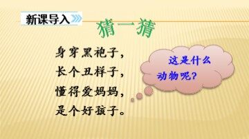 13 乌鸦喝水