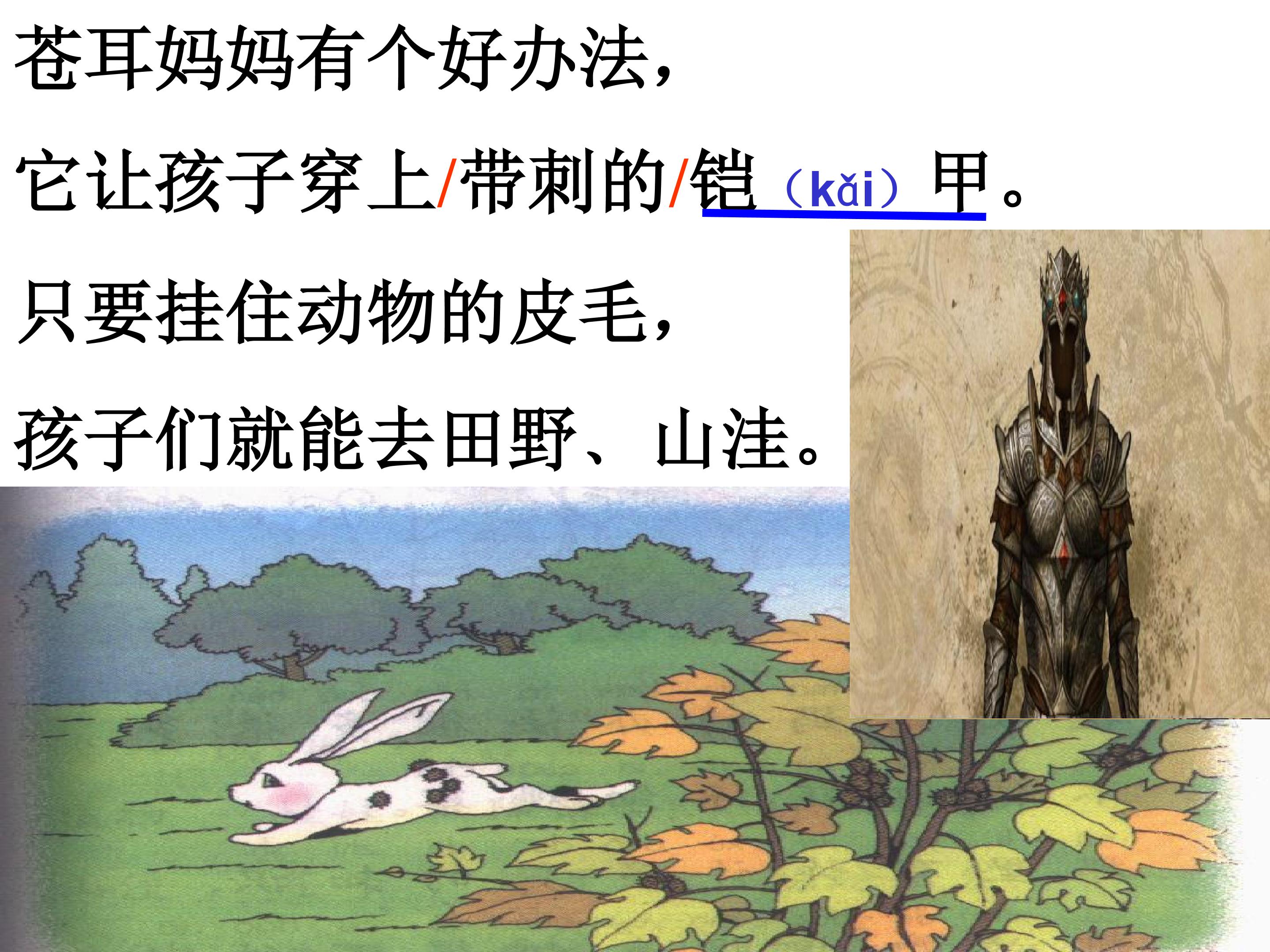 13.jpg