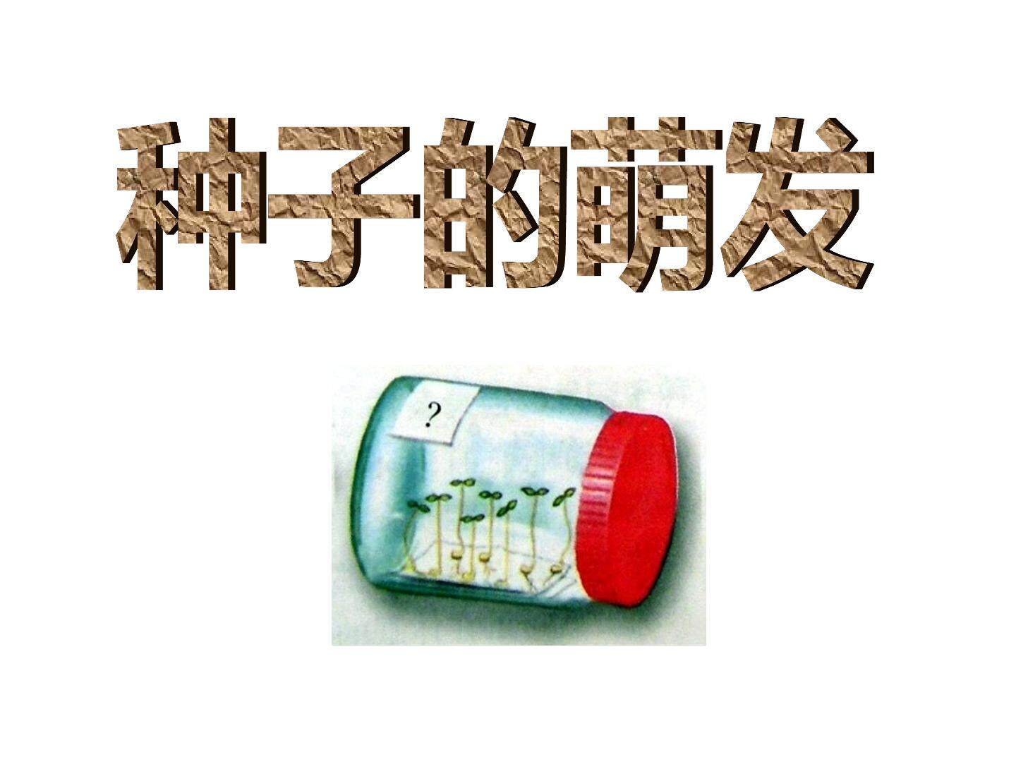 种子的萌发_课件1