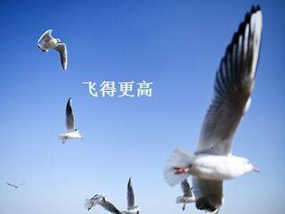 飞得更高_课件1