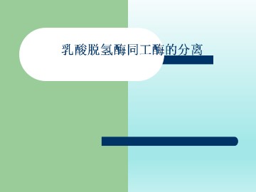 乳酸脱氢酶同工酶的分离_课件1