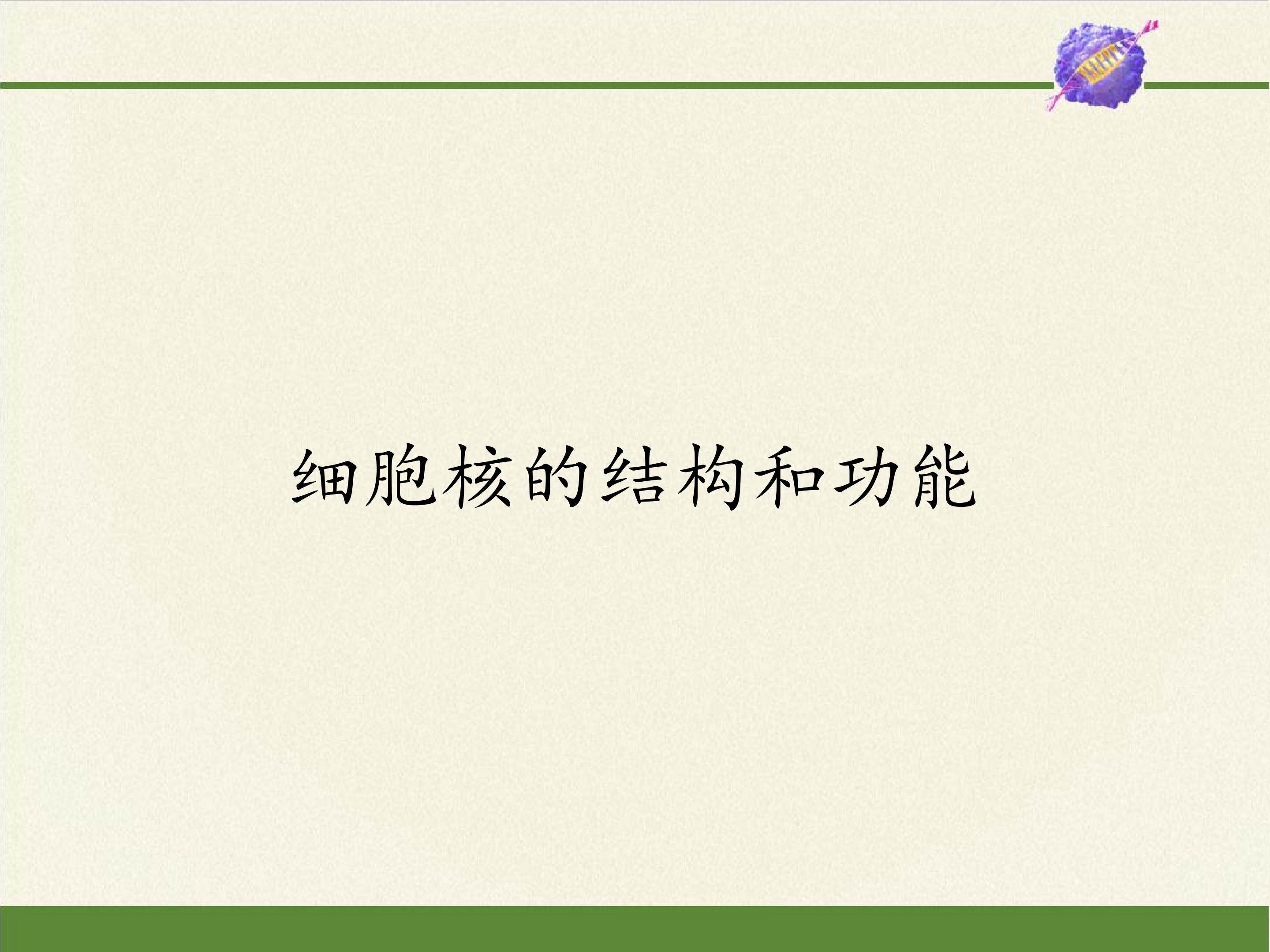 细胞核的结构和功能
