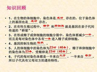 第三节基因的显性和隐性