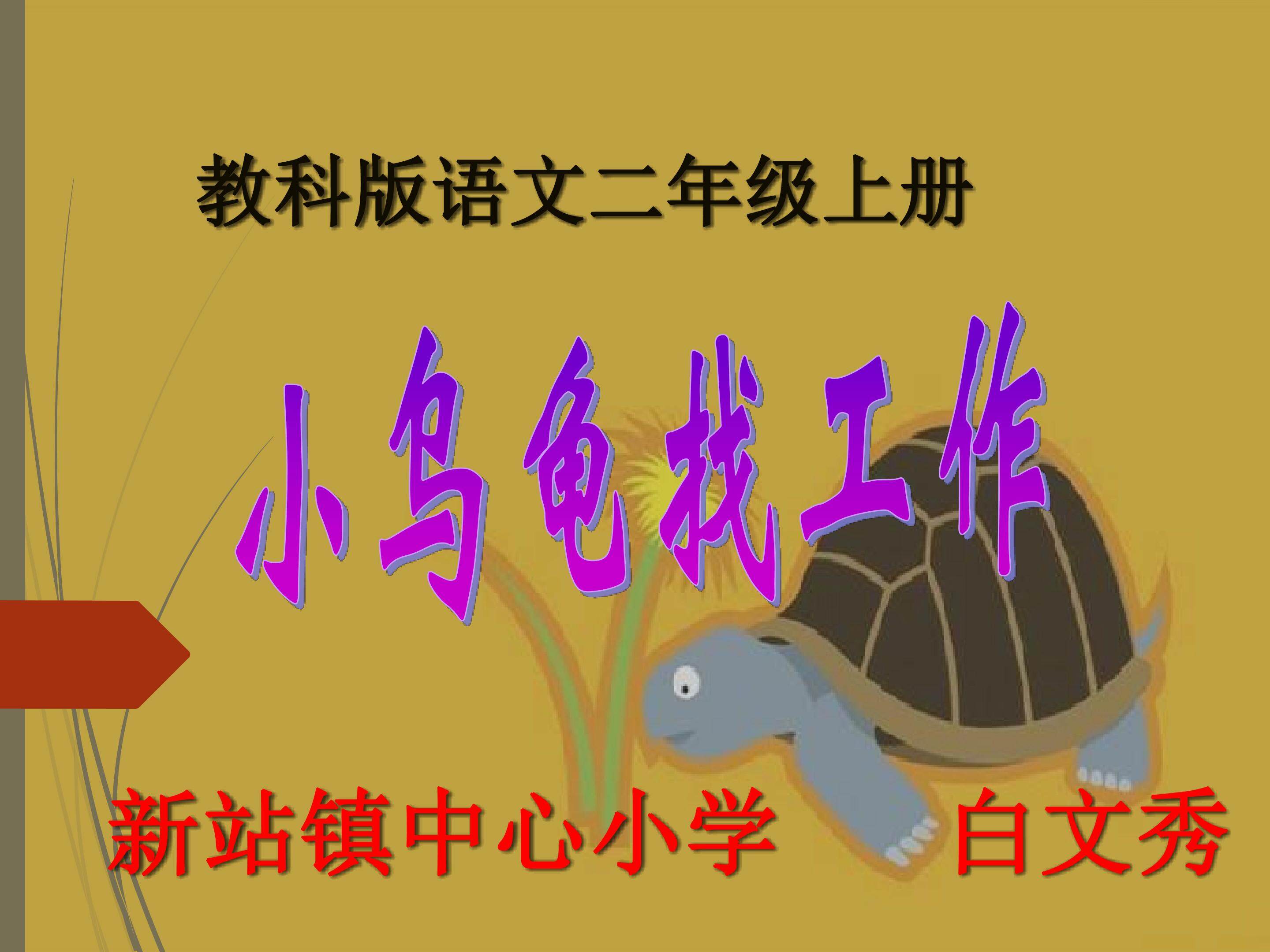 小乌龟找工作