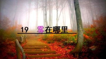19  雾在哪里