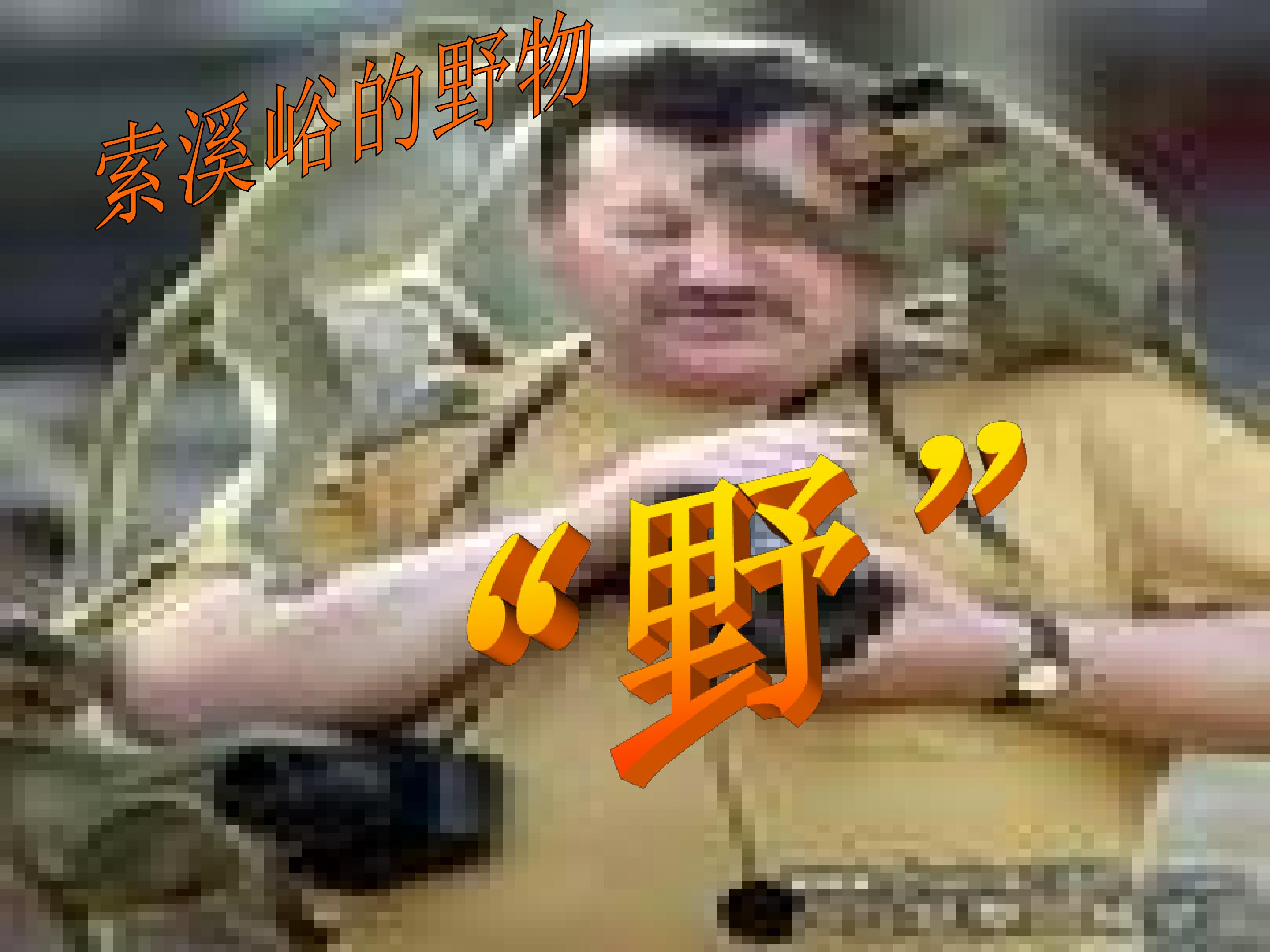33.jpg