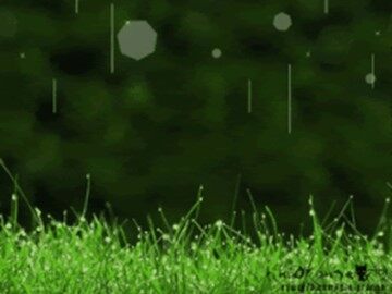 18 雷雨 