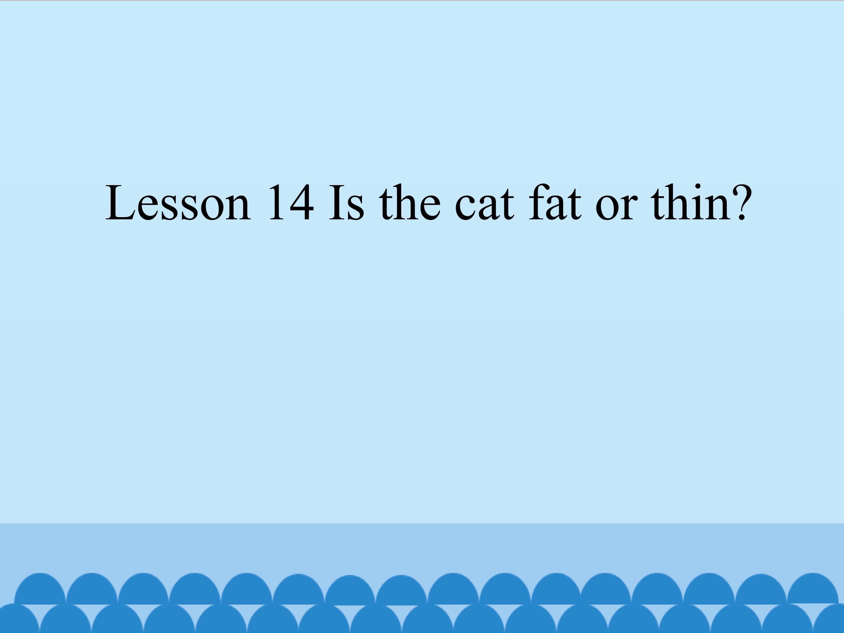 Lesson 14 Is the cat fat or thin