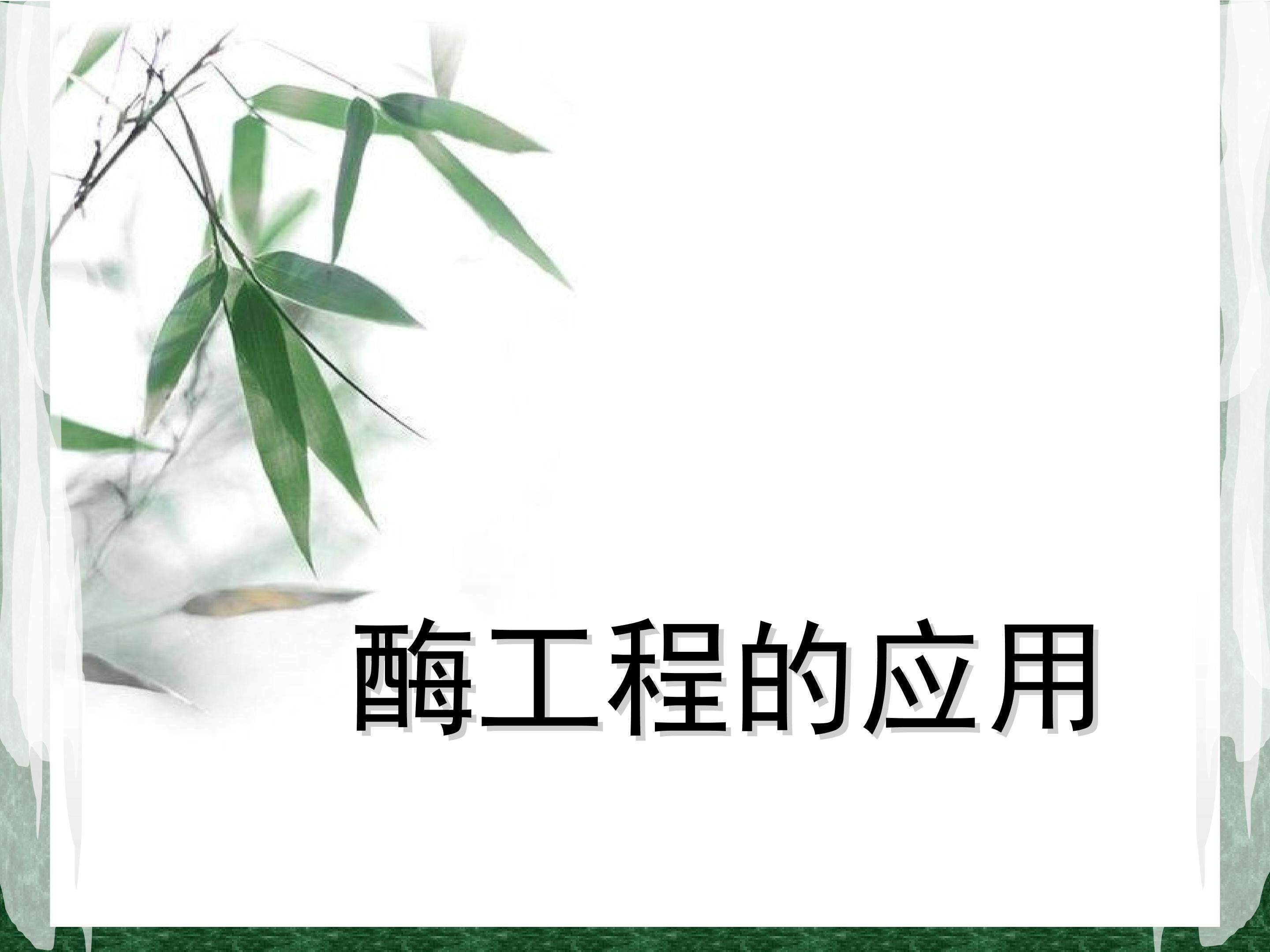 酶工程的应用_课件1