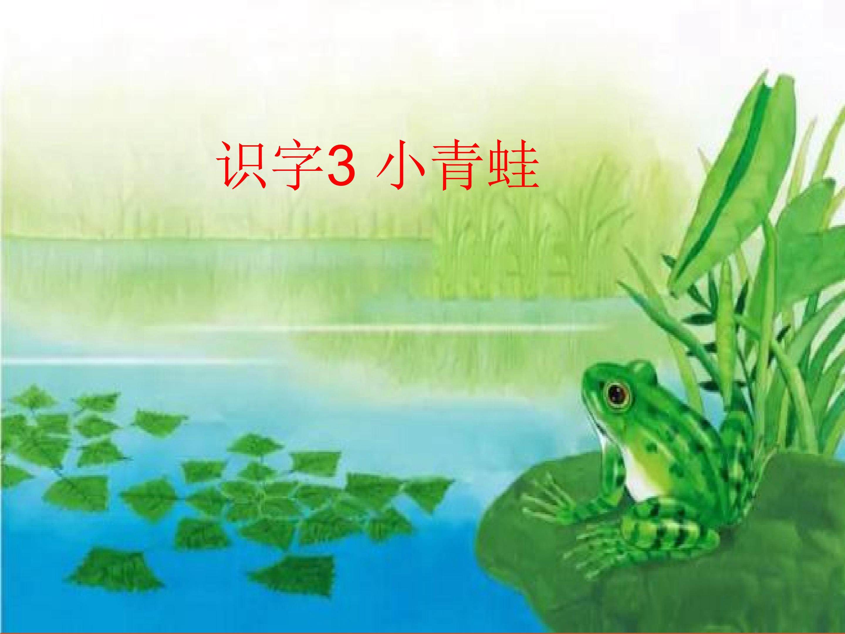 小青蛙
