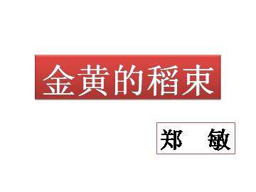 金黄的稻束_课件1