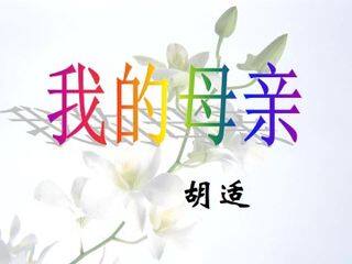 我的母亲_课件6
