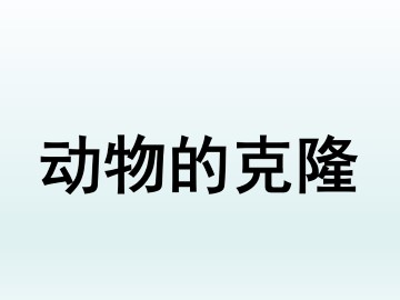 动物的克隆_课件1