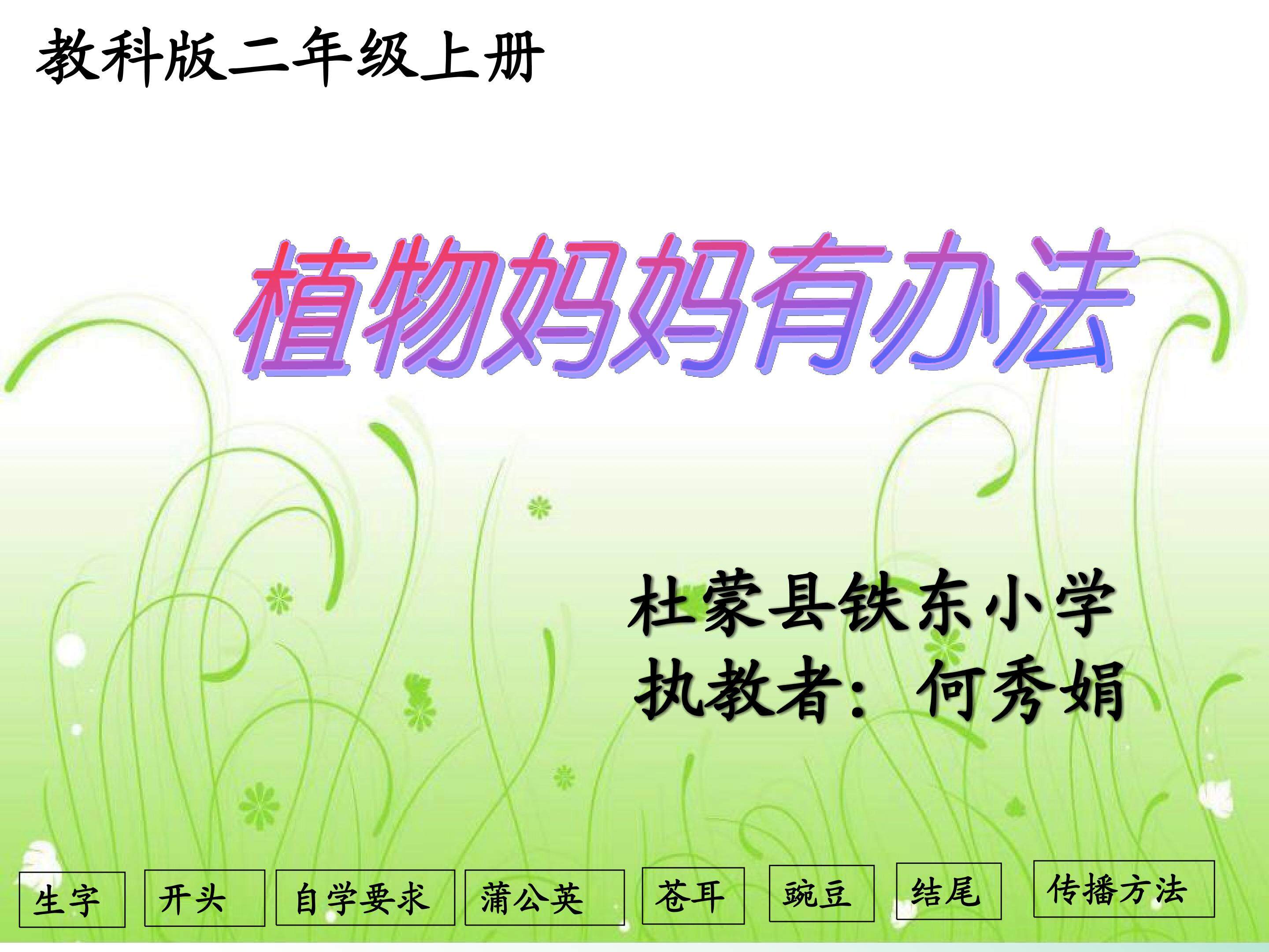 植物妈妈有办法