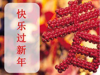 快乐过新年