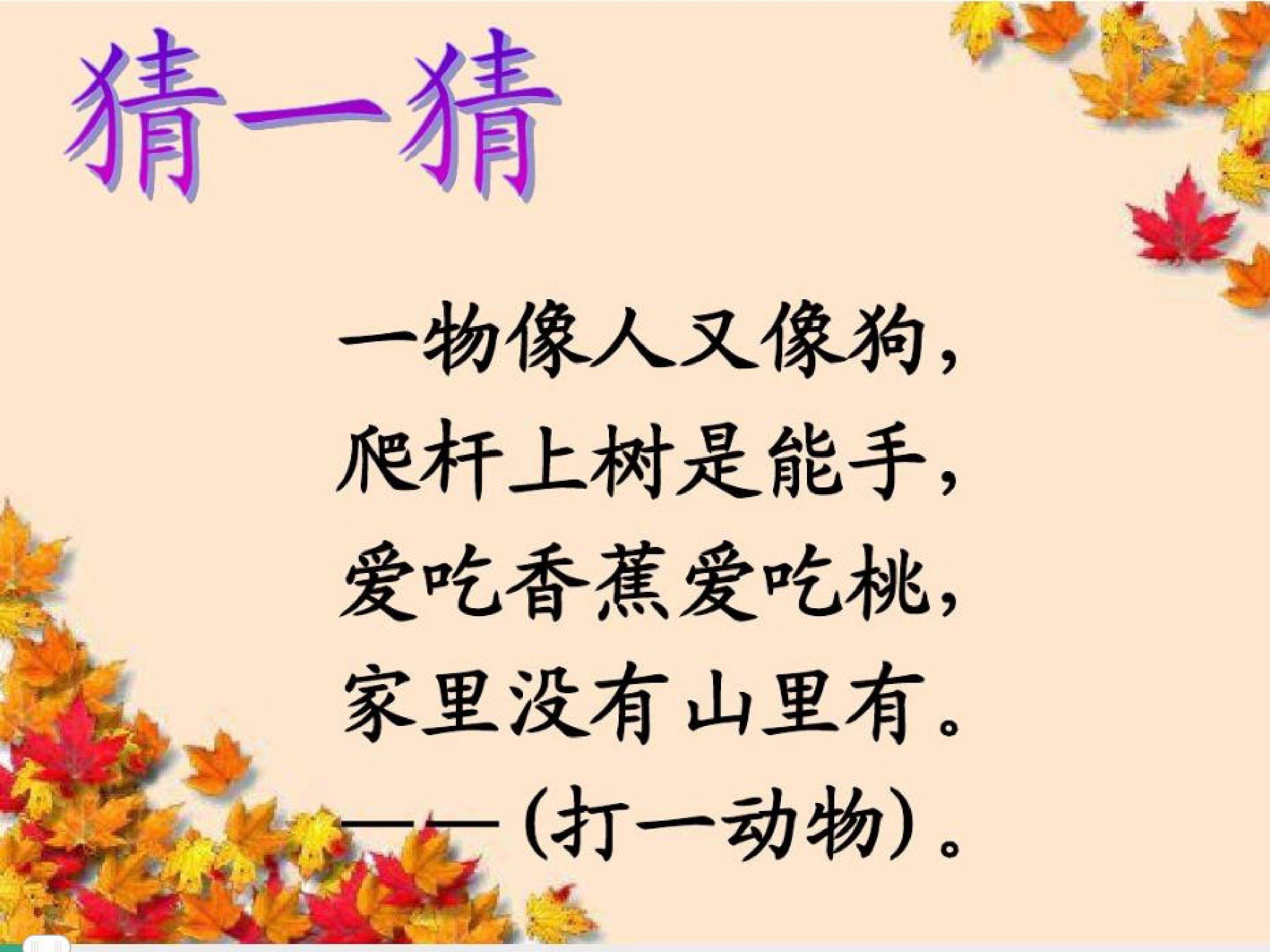 小猴子下山