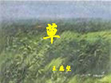 草_课件5