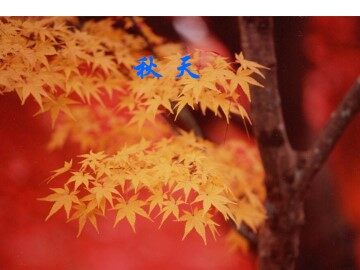 秋天_课件8