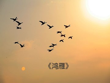 《鸿雁》_课件1