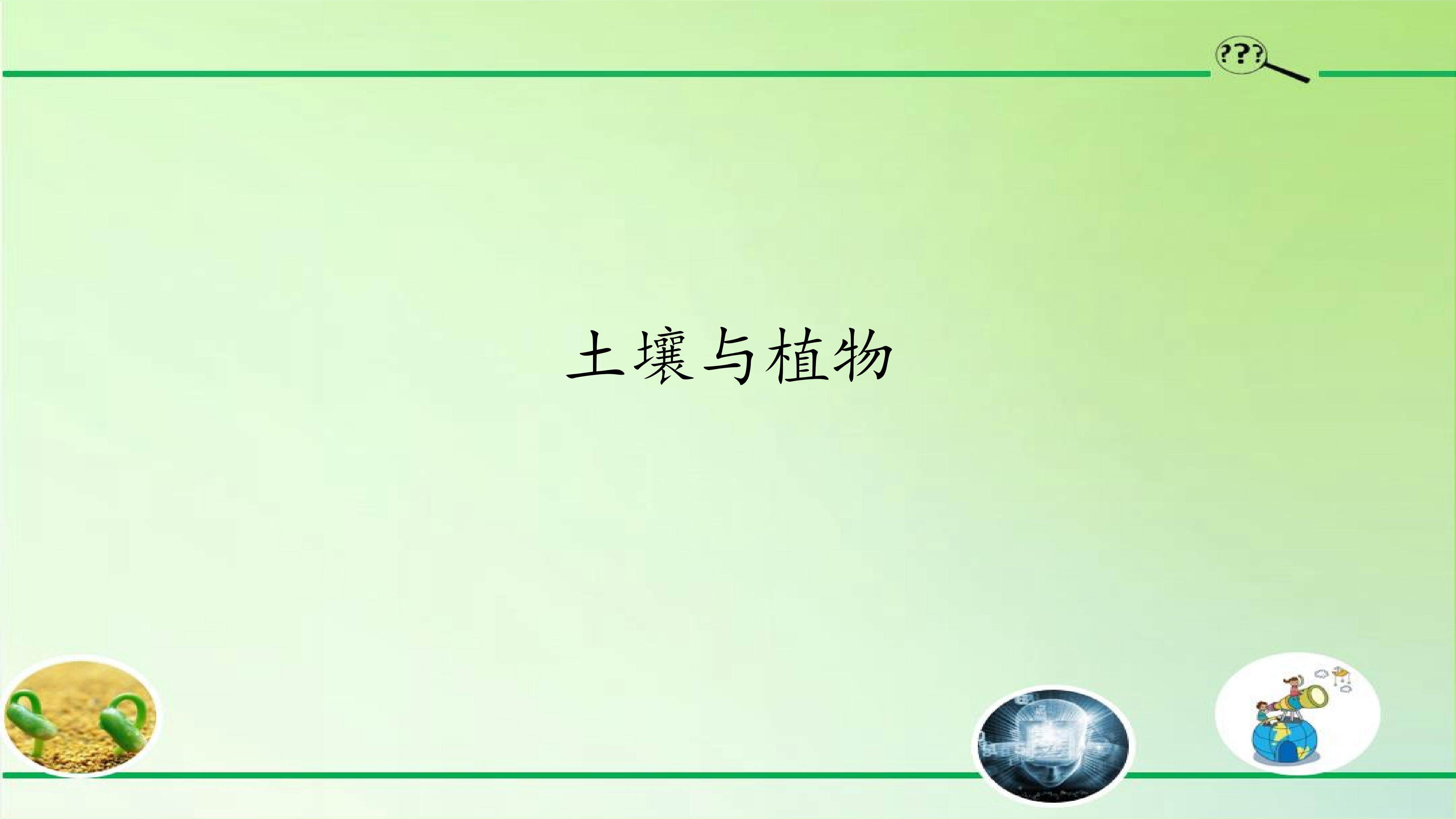 土壤与植物