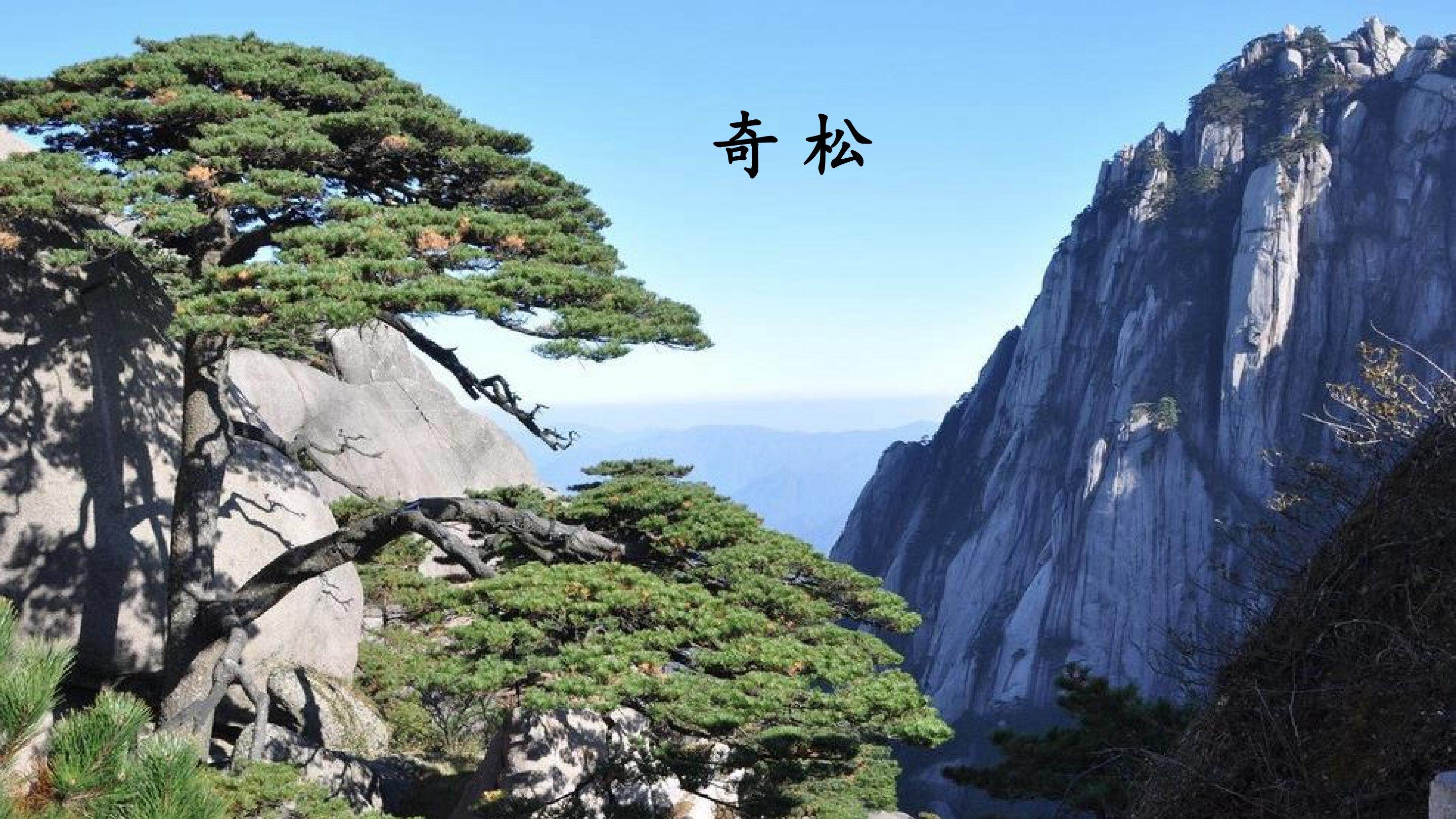 黄山奇石