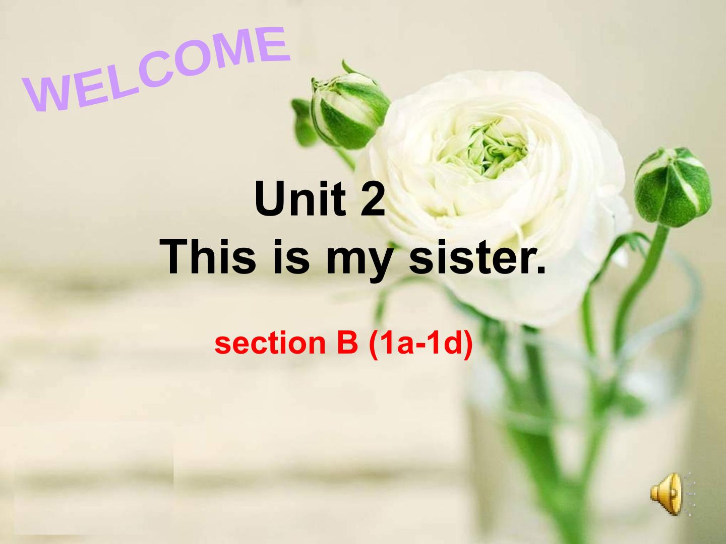 unit2 sectionB 1a-1d