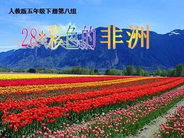 28* 彩色的非洲