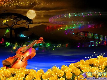 卢赛华   跳圆舞曲的小猫