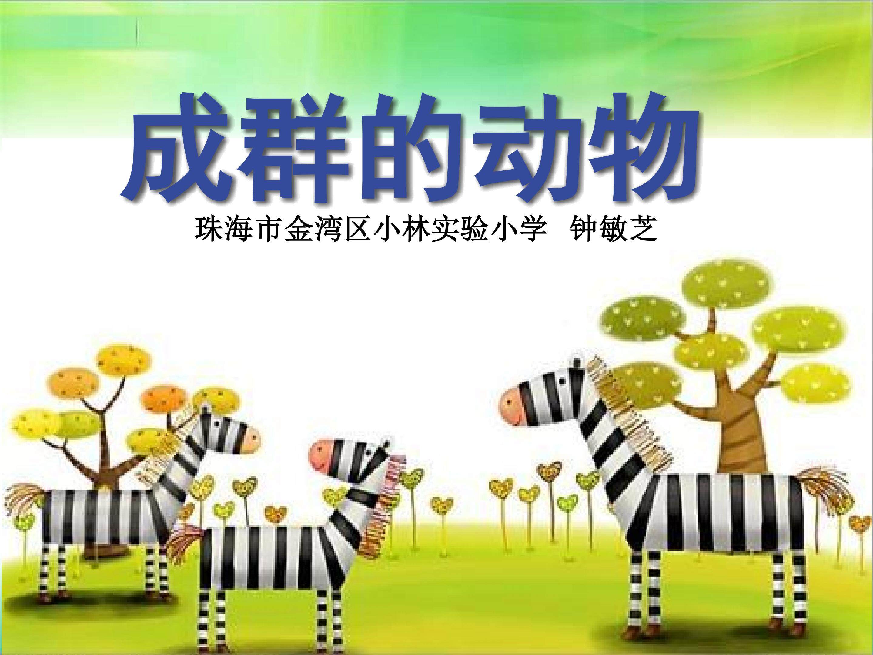成群的动物