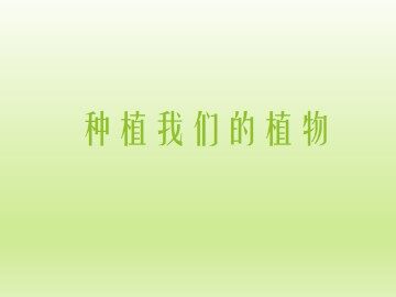 种植我们的植物_课件1