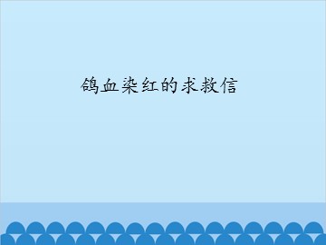 鸽血染红的求救信_课件1