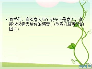 17 触摸春天
